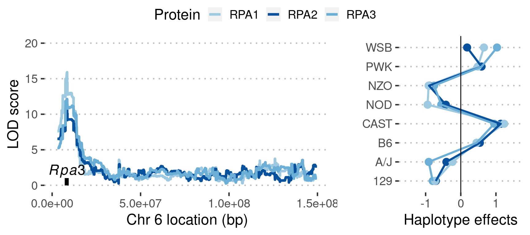 Figure 4E: An example of physical interaction propagating the effects of genetic variation is plotted. On the left, genome scan showing LOD scores across the genome for proteins RPA1, RPA2 and RPA3 is shown with the location of Rpa3 gene annotated on the x- axis. On the right, the inferred founder allele effects at the pQTL peak for all three genes are shown.